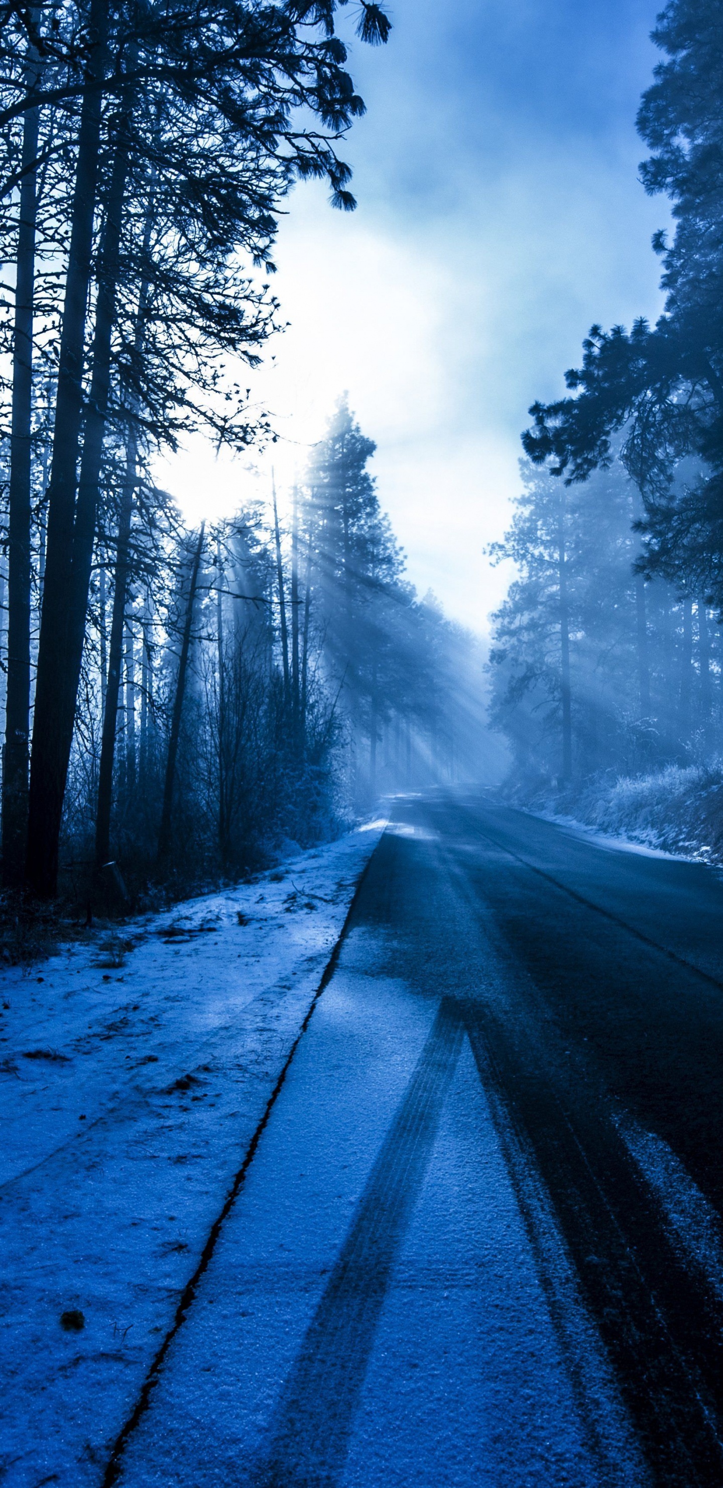 Forest, Winter Road, Winter, Cloud, Atmosphere. Wallpaper in 1440x2960 Resolution