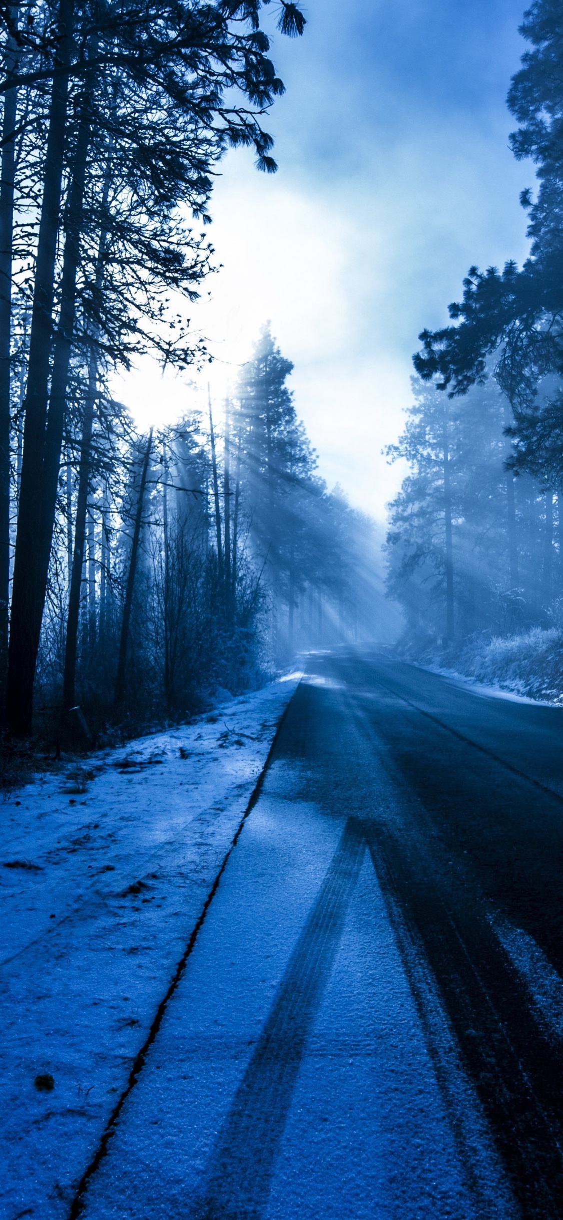 Forêt, Route D'hiver, Hiver, Atmosphère, la Journée. Wallpaper in 1125x2436 Resolution