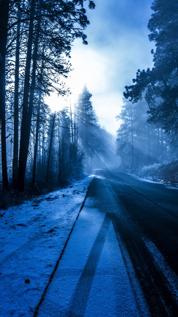 Forêt, Route D'hiver, Hiver, Atmosphère, la Journée. Wallpaper in 750x1334 Resolution