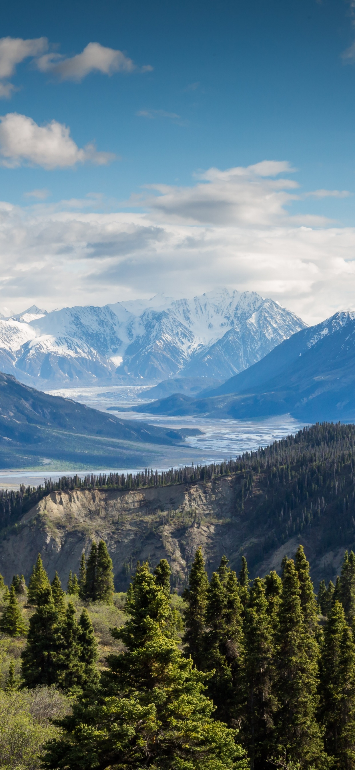 生态区, 自然景观, 高地, 落叶松, 积云 壁纸 1242x2688 允许