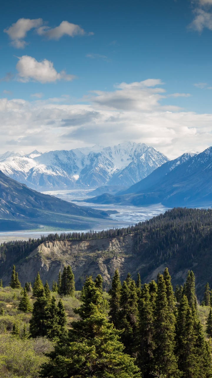 生态区, 自然景观, 高地, 落叶松, 积云 壁纸 720x1280 允许