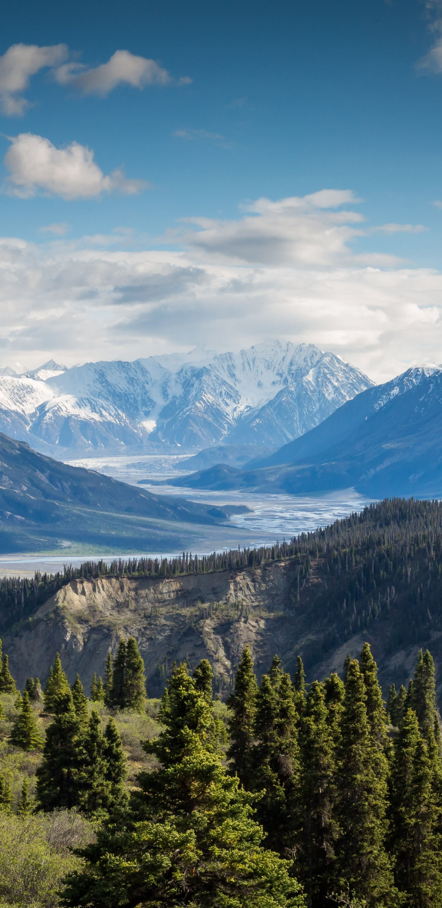 Telesilla Ayubia, Montaña, Ecorregión, Paisaje Natural, Highland. Wallpaper in 1440x2960 Resolution