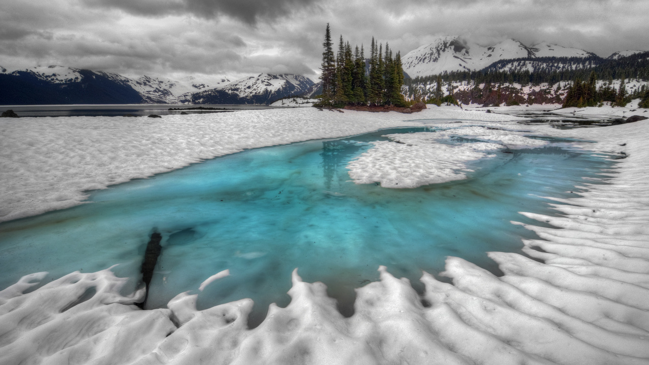 Árboles Verdes en el Suelo Cubierto de Nieve Cerca Del Cuerpo de Agua Durante el Día. Wallpaper in 1280x720 Resolution