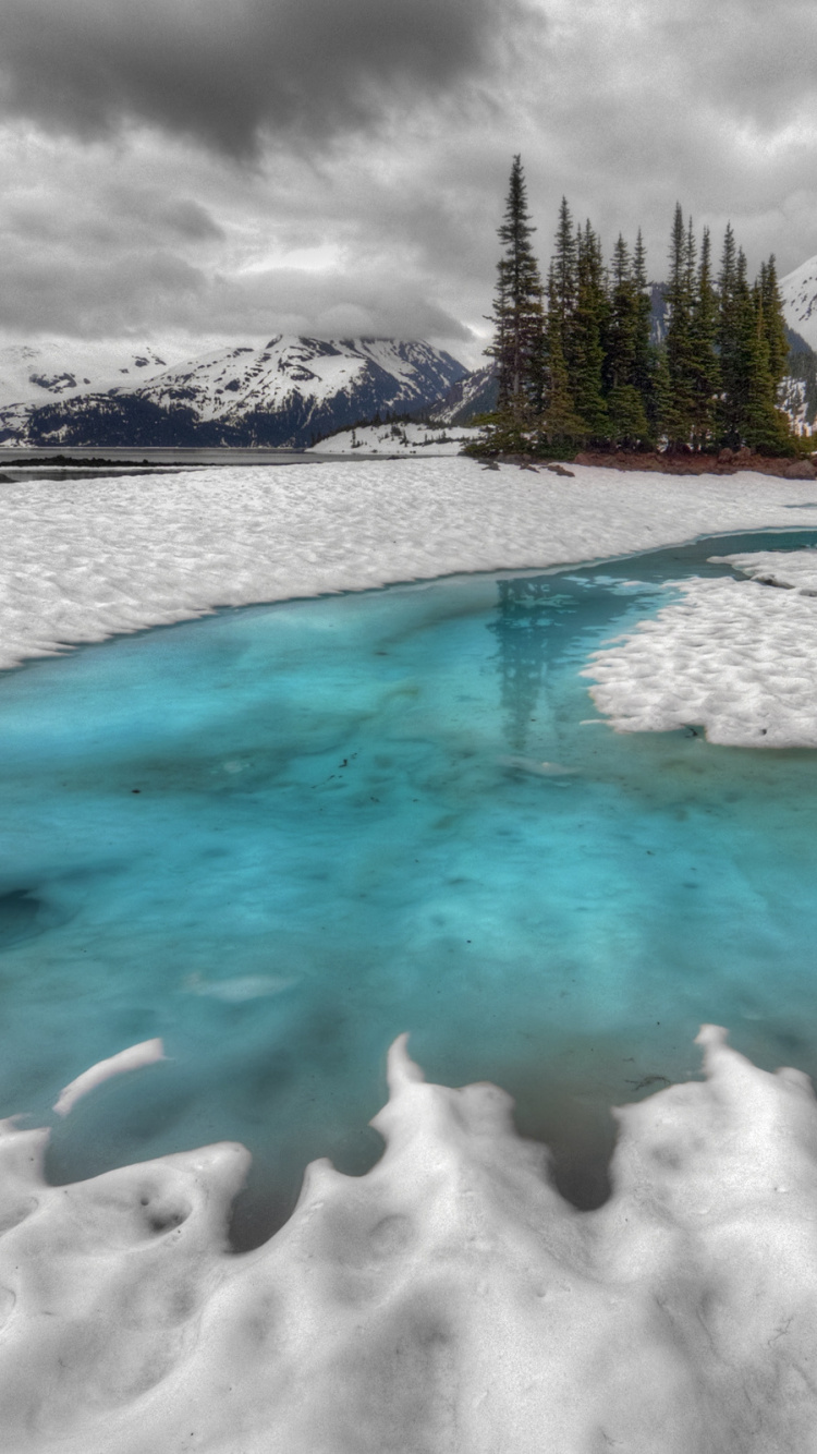 Árboles Verdes en el Suelo Cubierto de Nieve Cerca Del Cuerpo de Agua Durante el Día. Wallpaper in 750x1334 Resolution