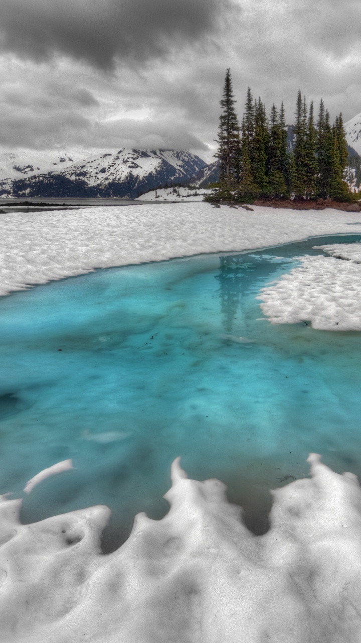 Grüne Bäume Auf Schneebedecktem Boden in Der Nähe Von Gewässern Tagsüber. Wallpaper in 720x1280 Resolution