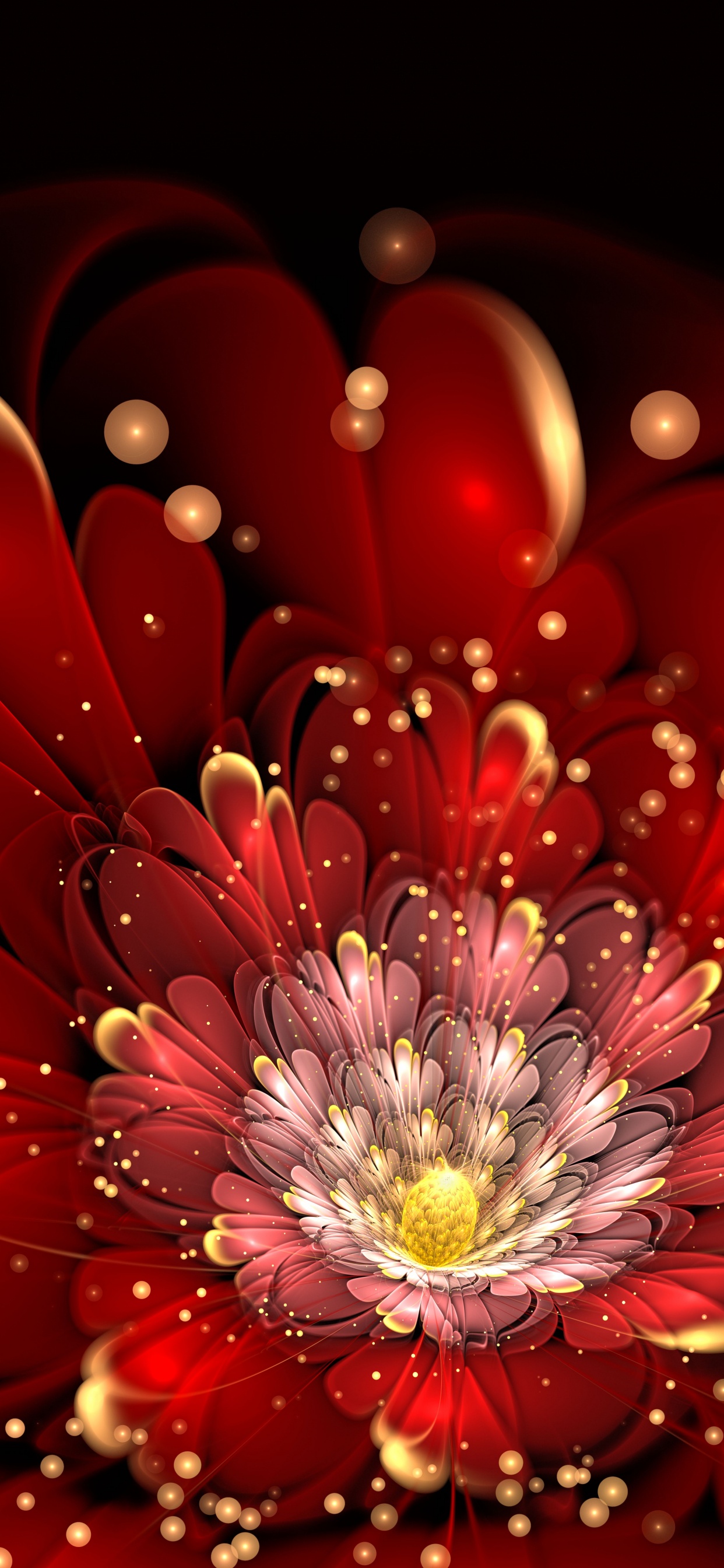 Rote Und Weiße Blume in Der Makrofotografie. Wallpaper in 1242x2688 Resolution