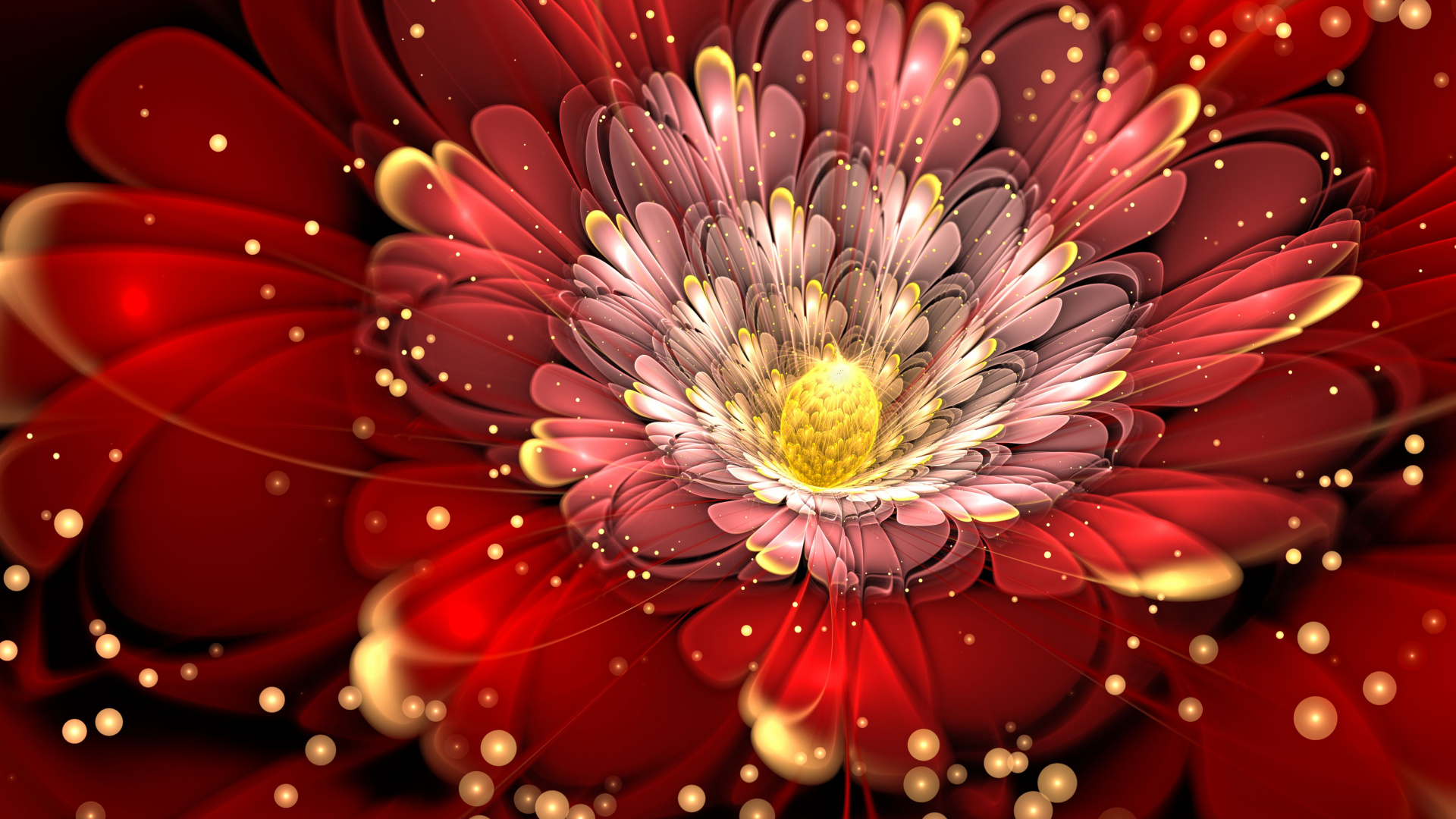 Flor Roja y Blanca en Fotografía Macro. Wallpaper in 1920x1080 Resolution