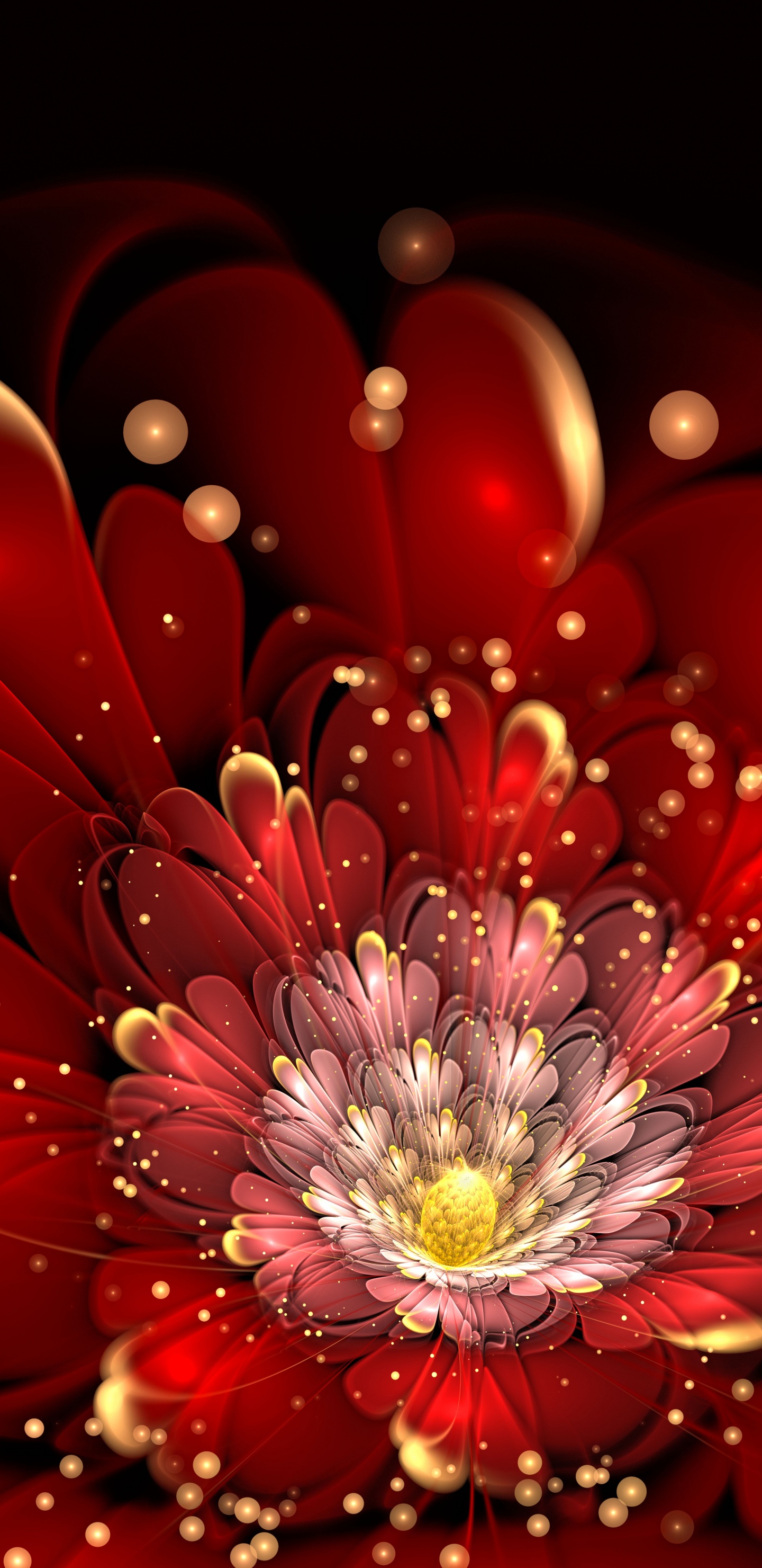 Fleur Rouge et Blanche en Macrophotographie. Wallpaper in 1440x2960 Resolution