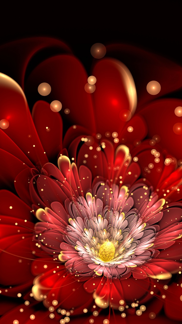 Fleur Rouge et Blanche en Macrophotographie. Wallpaper in 720x1280 Resolution