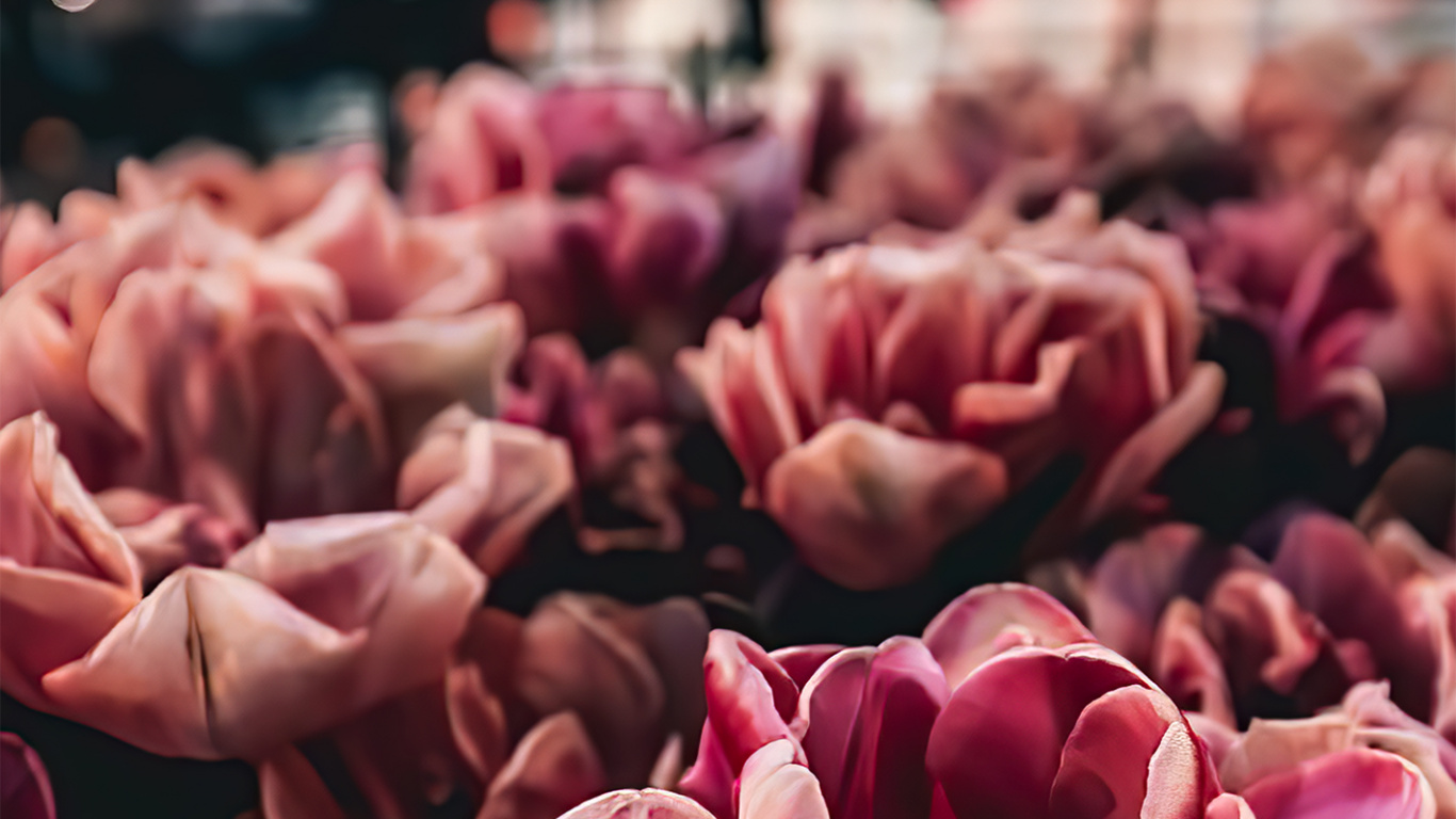 Design, Schönen Freitag, Architektur, Kunst, Nachricht. Wallpaper in 1366x768 Resolution