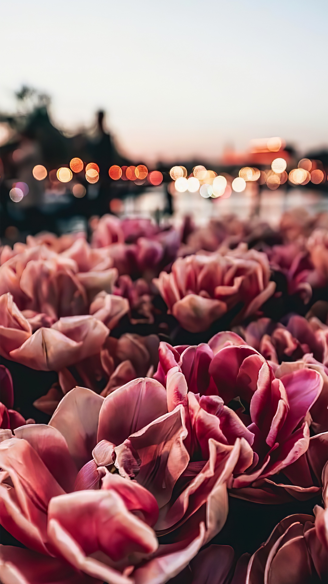 Diseño, Feliz Viernes, Arquitectura, Arte, Mensaje. Wallpaper in 1080x1920 Resolution