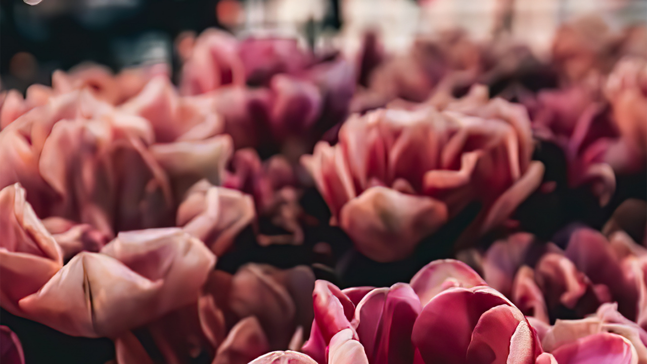 Diseño, Feliz Viernes, Arquitectura, Arte, Mensaje. Wallpaper in 1280x720 Resolution