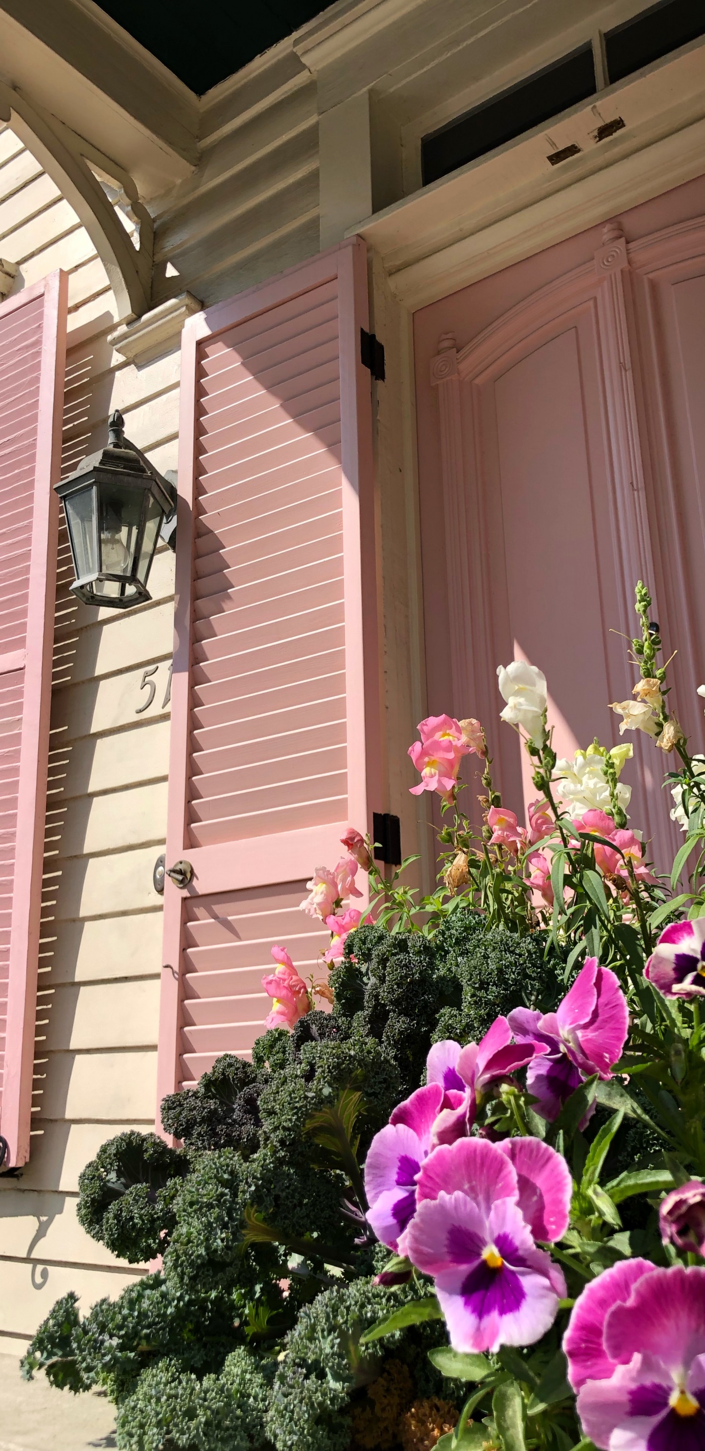 粉红色, 酒店, 的房子, 窗口, 房地产 壁纸 1440x2960 允许