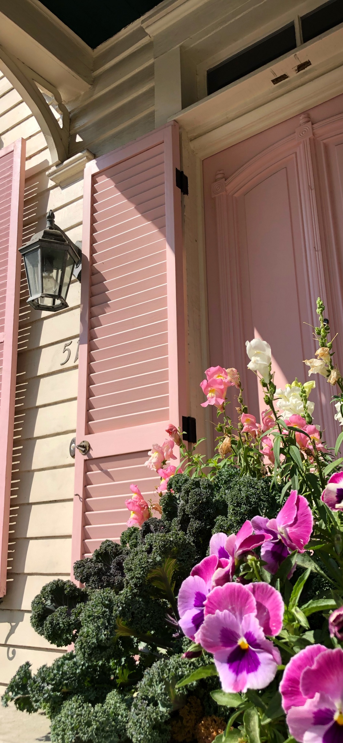 Purple Flowers Beside Pink Wooden Window. Wallpaper in 1125x2436 Resolution