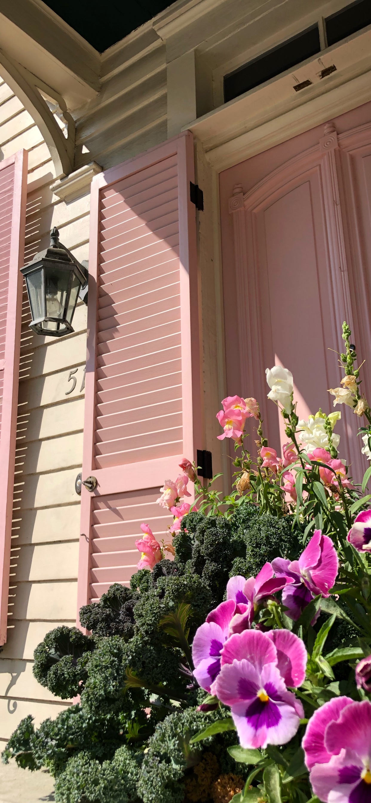 Purple Flowers Beside Pink Wooden Window. Wallpaper in 1242x2688 Resolution