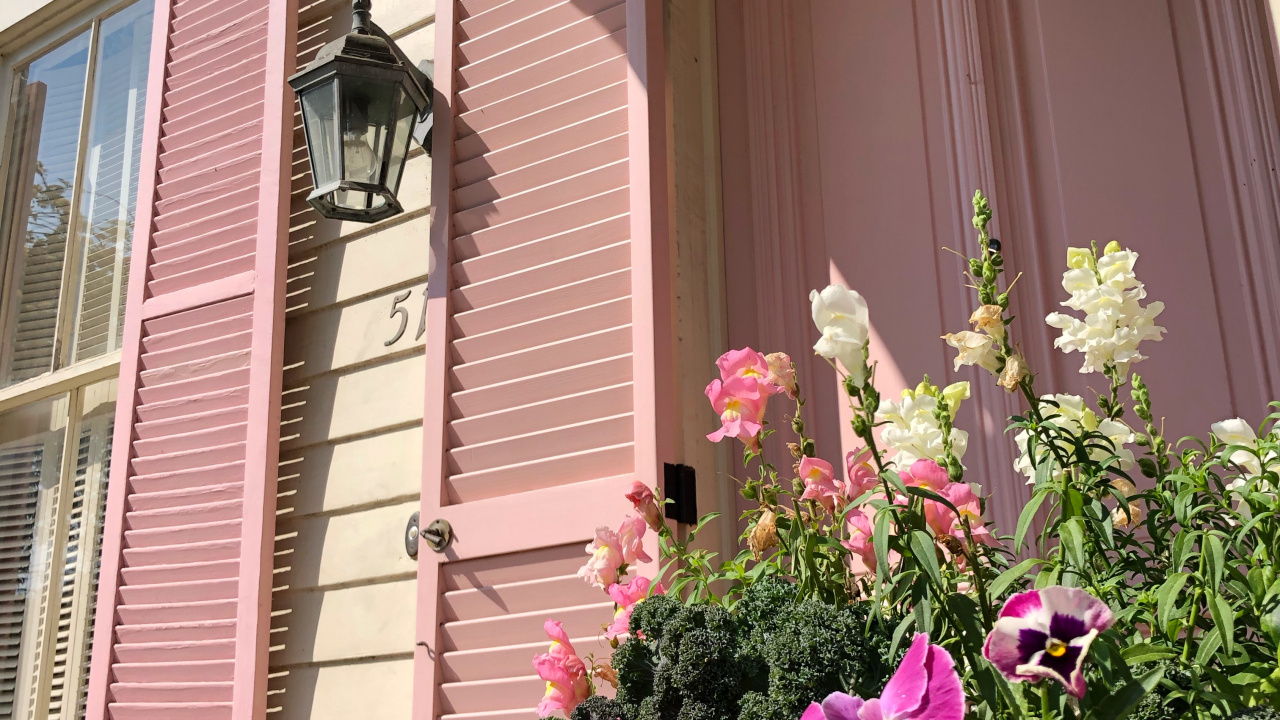 Purple Flowers Beside Pink Wooden Window. Wallpaper in 1280x720 Resolution