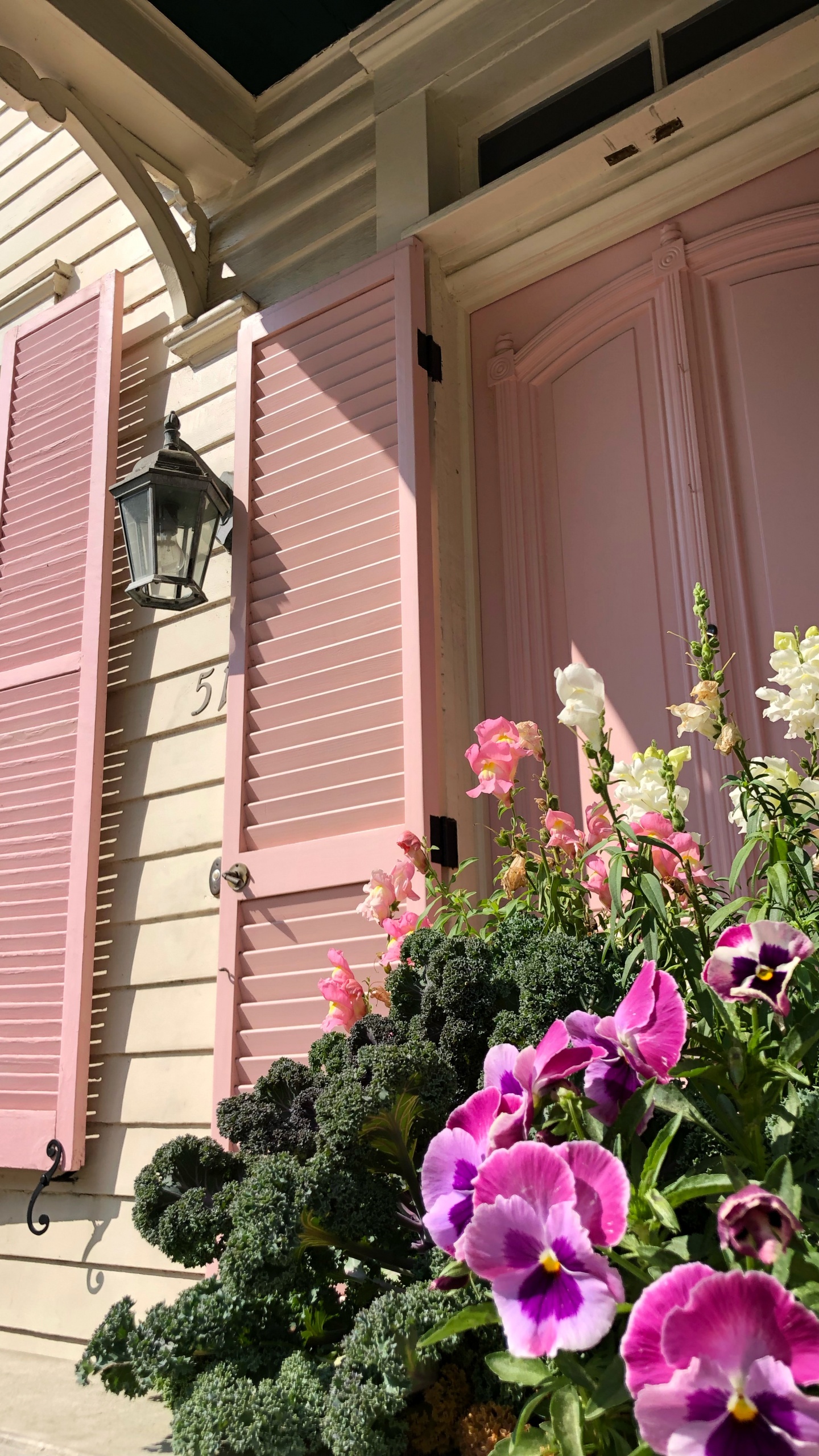 Purple Flowers Beside Pink Wooden Window. Wallpaper in 1440x2560 Resolution