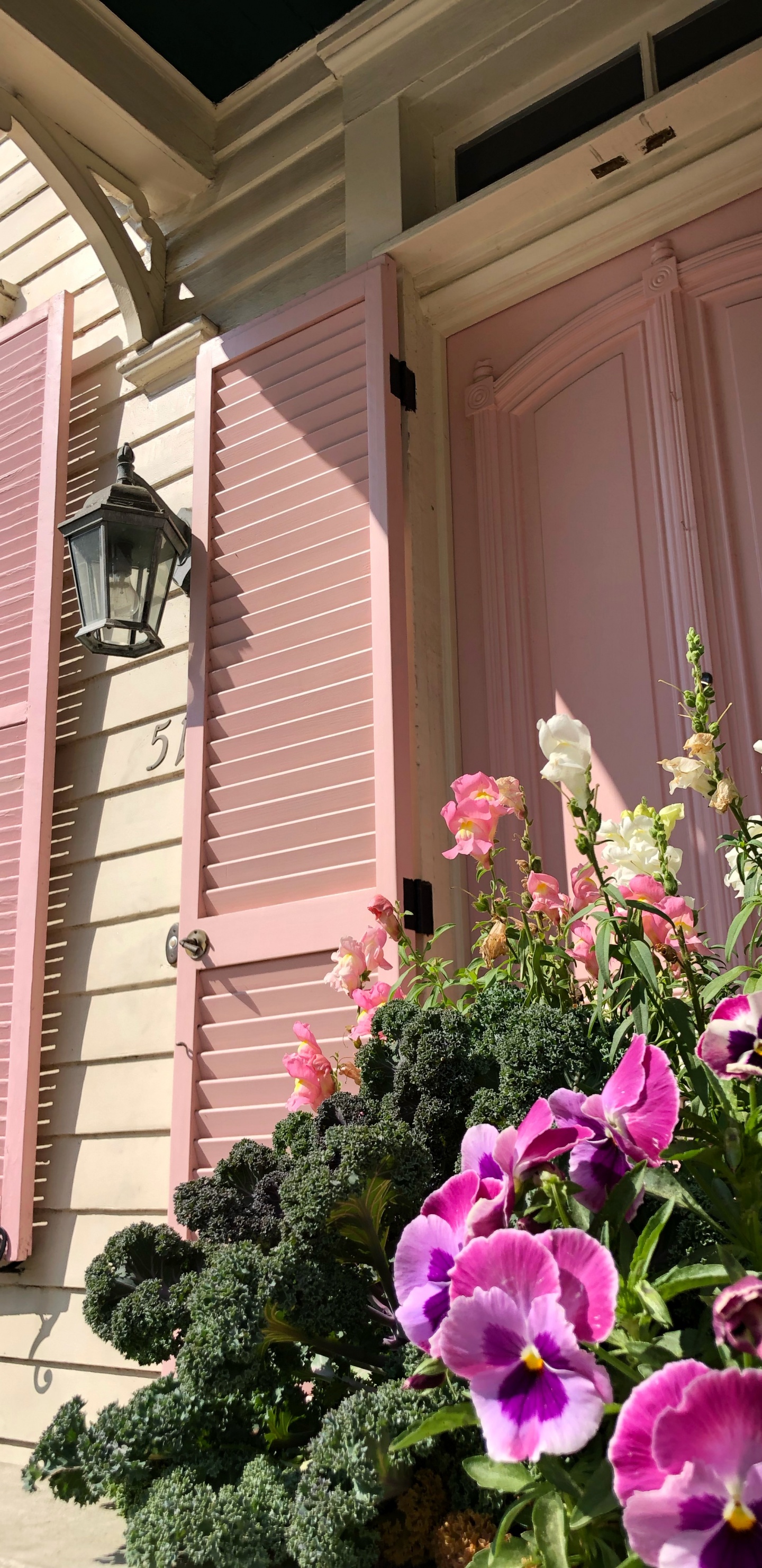 Purple Flowers Beside Pink Wooden Window. Wallpaper in 1440x2960 Resolution