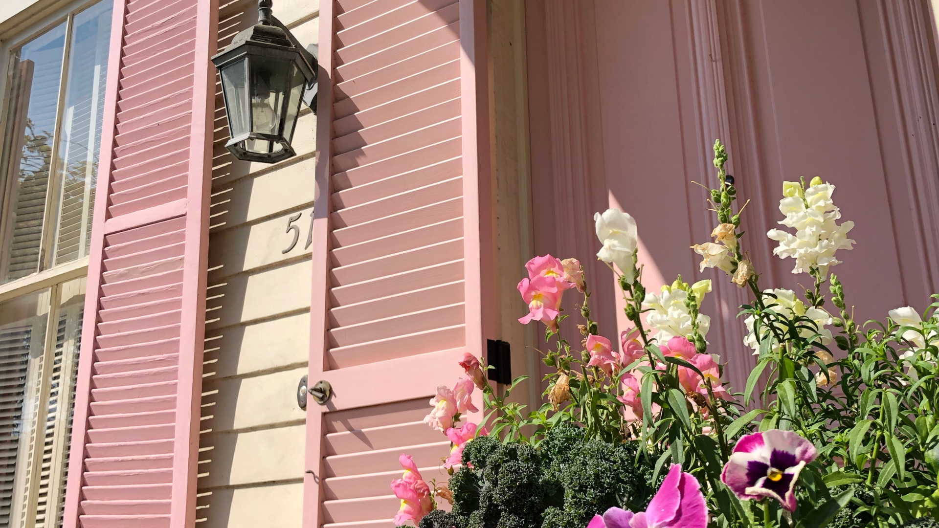 Purple Flowers Beside Pink Wooden Window. Wallpaper in 1920x1080 Resolution