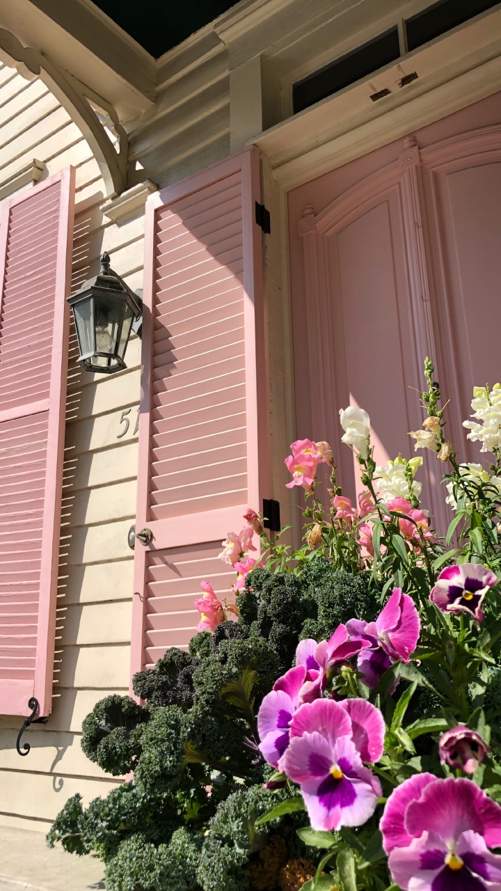 Purple Flowers Beside Pink Wooden Window. Wallpaper in 720x1280 Resolution