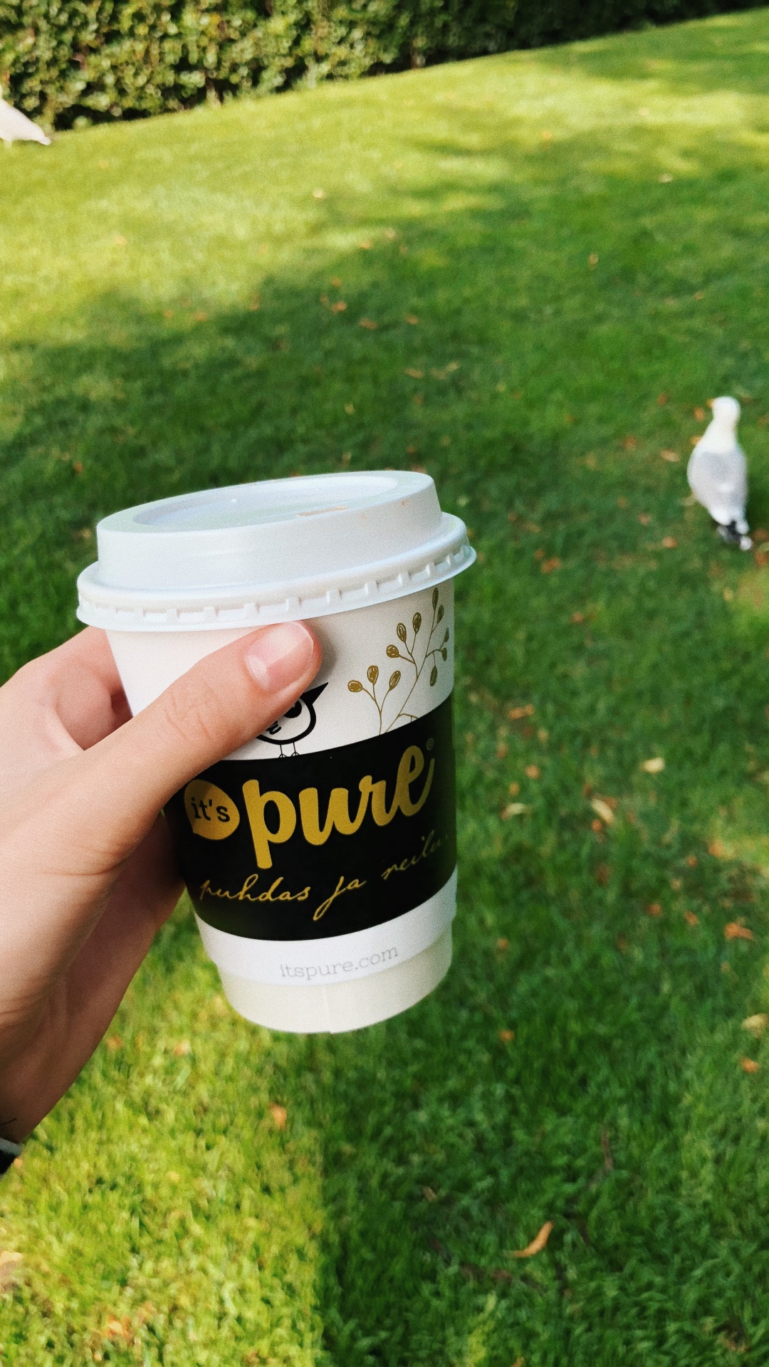 Grass, Coffee Cup Sleeve, Logo, Cup, Lid. Wallpaper in 1080x1920 Resolution