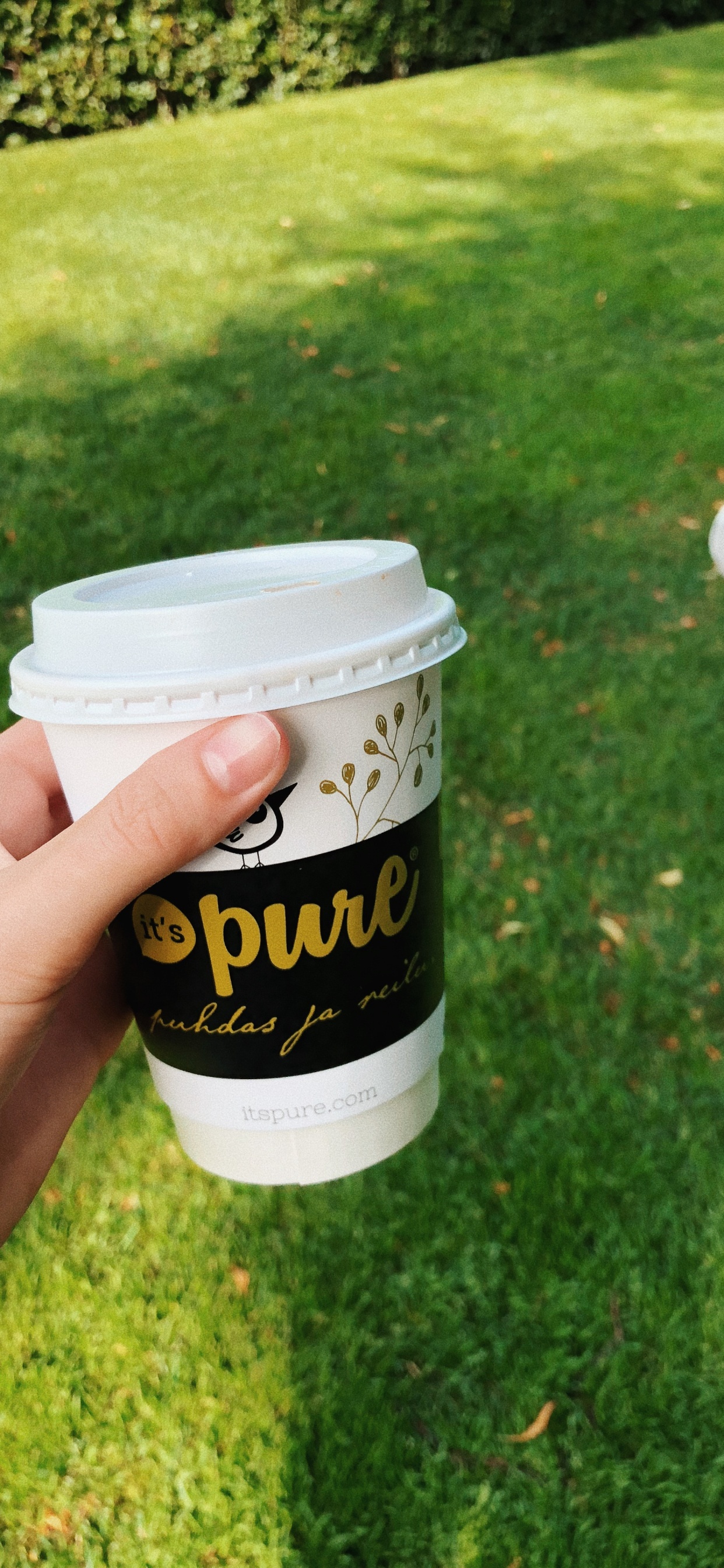 Grass, Coffee Cup Sleeve, Logo, Cup, Lid. Wallpaper in 1242x2688 Resolution