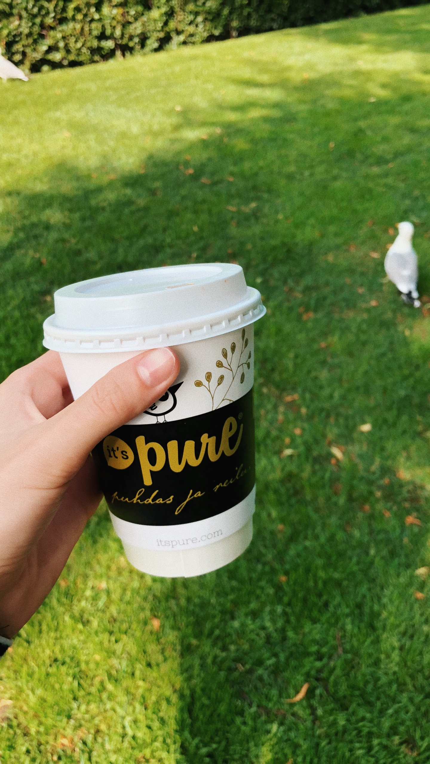 Grass, Coffee Cup Sleeve, Logo, Cup, Lid. Wallpaper in 1440x2560 Resolution