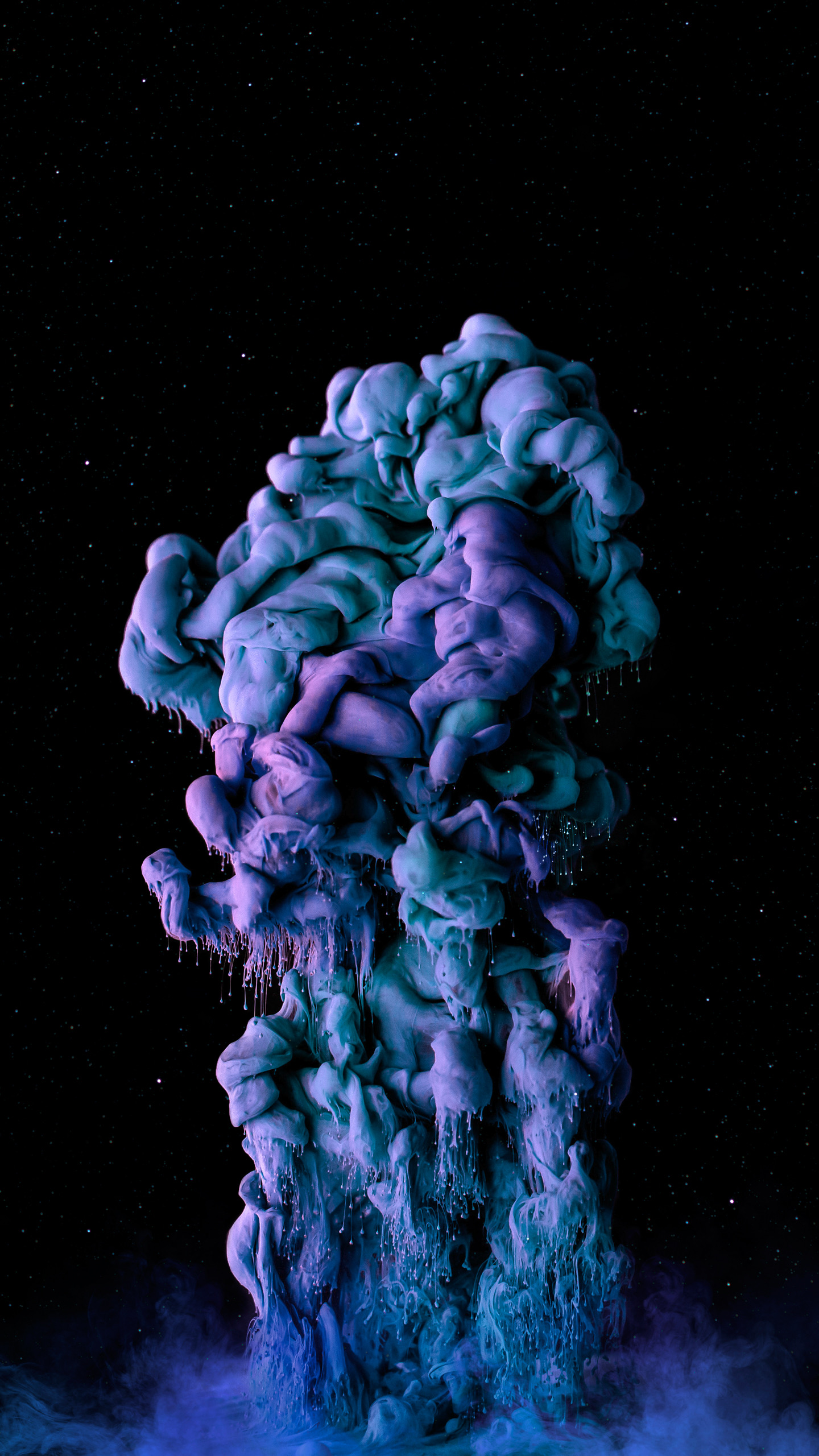 Gr, Purpur, Blütenblatt, Marine Biologie, Veilchen. Wallpaper in 1440x2560 Resolution