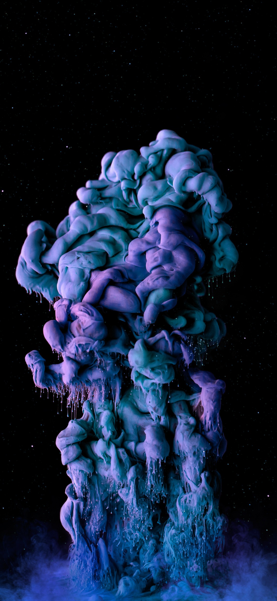 Liquid, Green, Purple, Pétale, Biologie Marine. Wallpaper in 1125x2436 Resolution