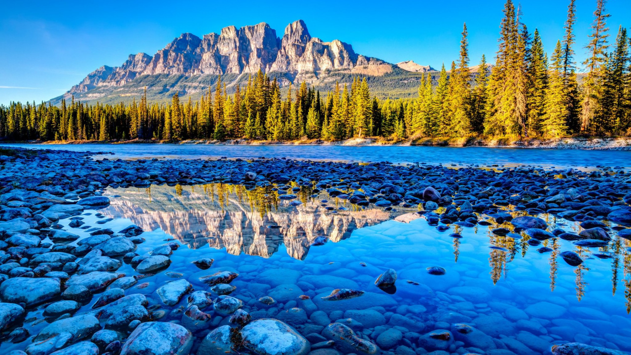Green Pine Trees Near Body of Water During Daytime. Wallpaper in 1280x720 Resolution