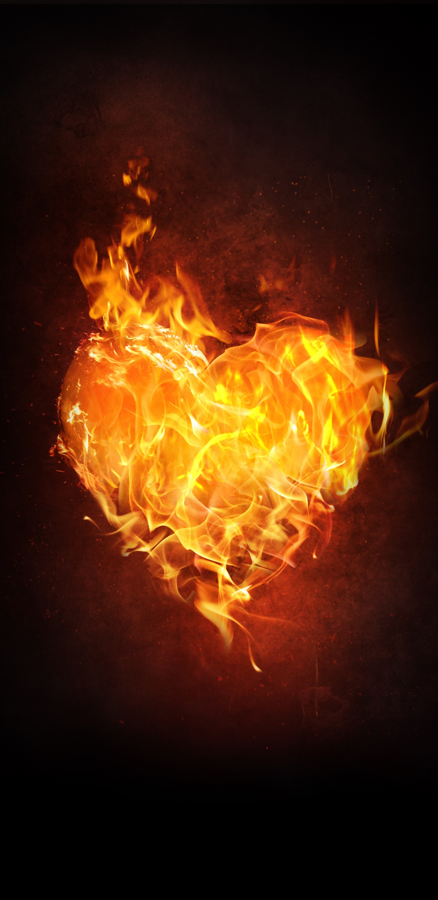 Flame, Fire, Heart, Heat, Orange. Wallpaper in 1440x2960 Resolution