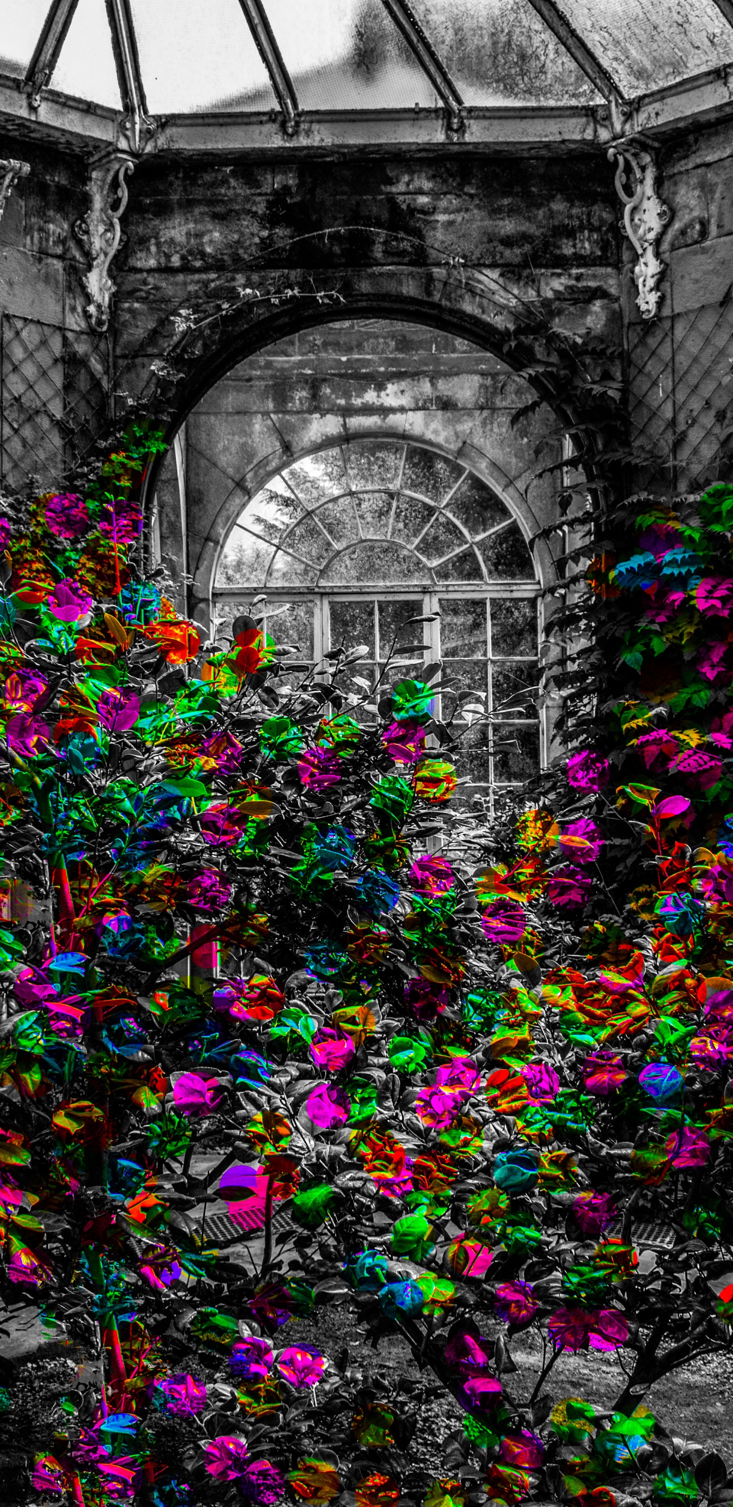 Planta Morada y Verde Frente al Edificio. Wallpaper in 1440x2960 Resolution