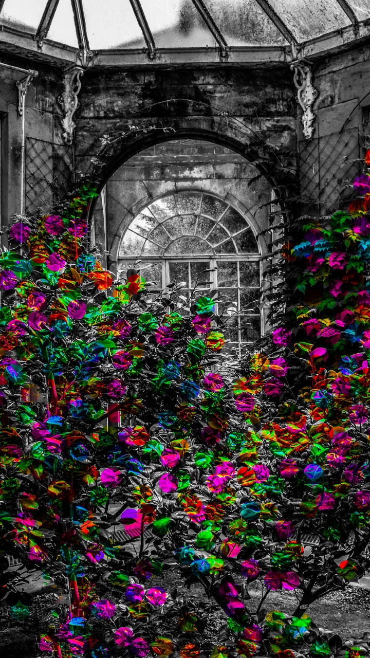 Planta Morada y Verde Frente al Edificio. Wallpaper in 720x1280 Resolution