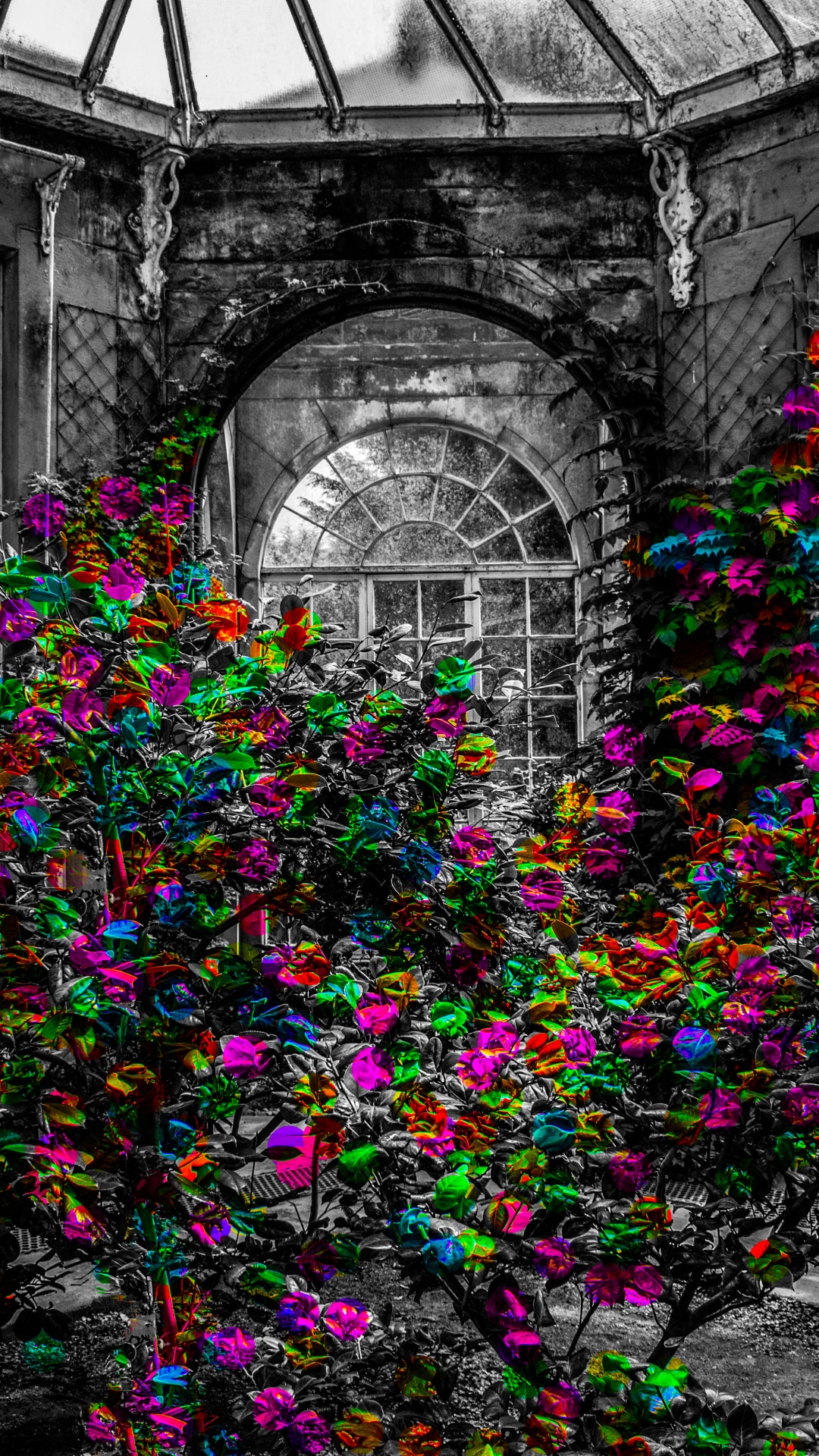 Purple and Green Plant in Front of Building. Wallpaper in 1080x1920 Resolution