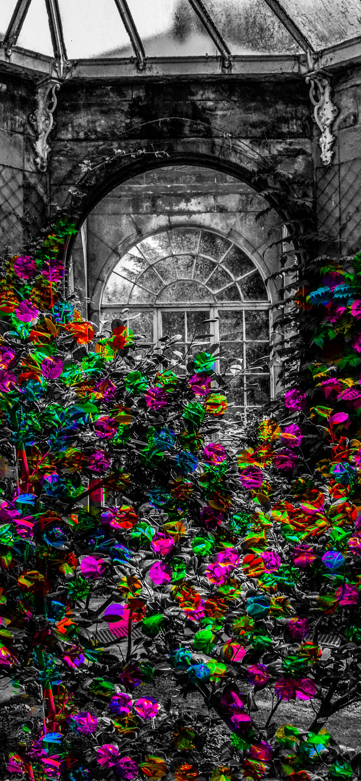 Purple and Green Plant in Front of Building. Wallpaper in 1242x2688 Resolution