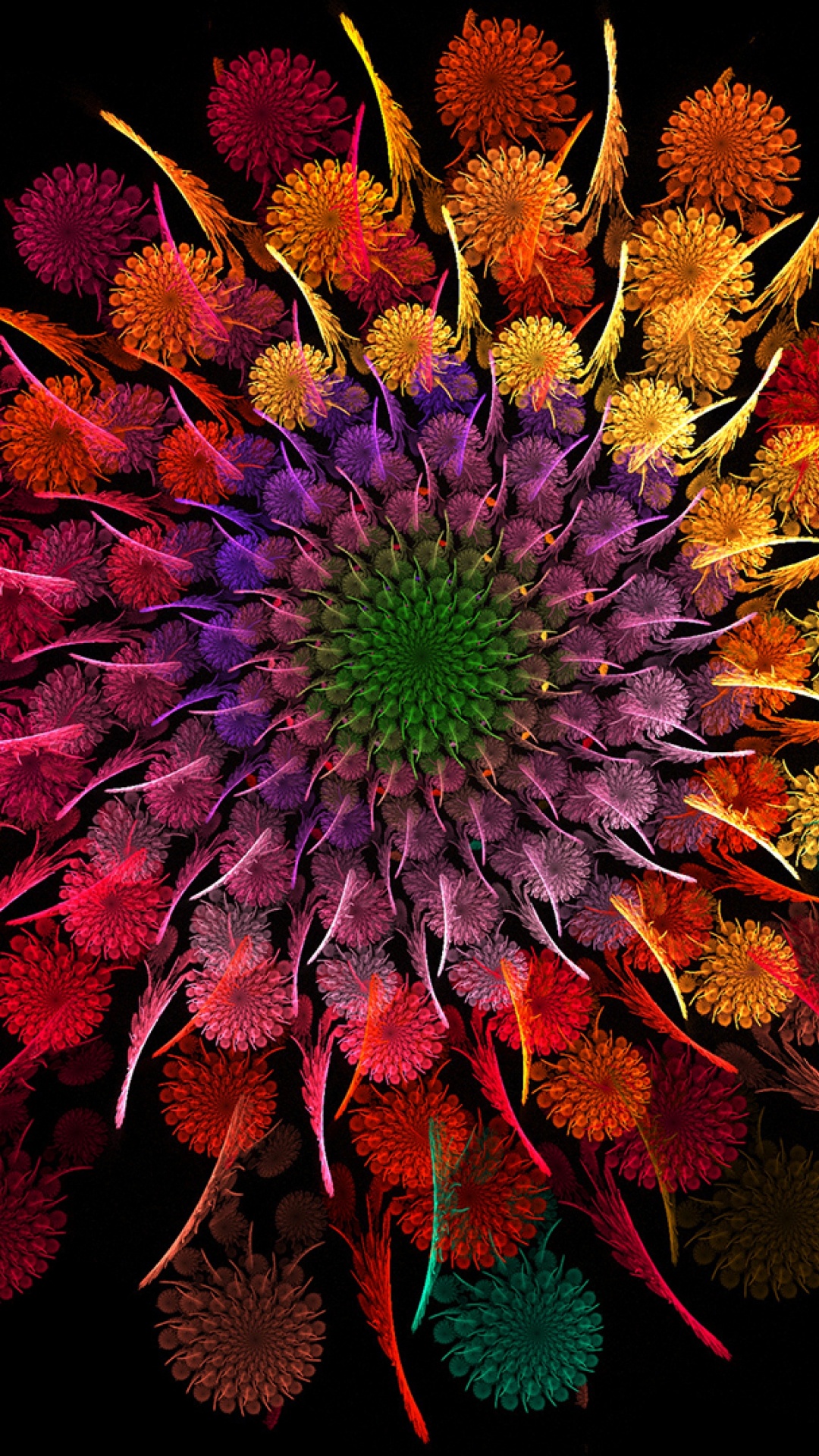 Rote Und Gelbe Blume Auf Schwarzem Hintergrund. Wallpaper in 1080x1920 Resolution