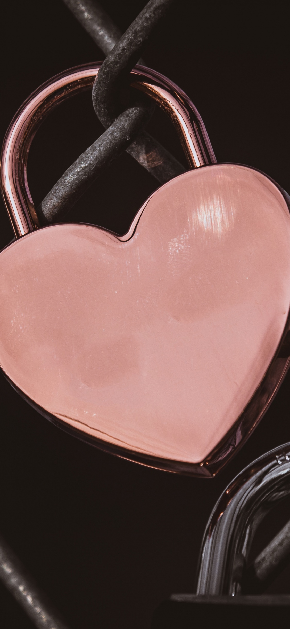 心脏, 粉红色, 爱情, 器官, 人类的身体 壁纸 1125x2436 允许