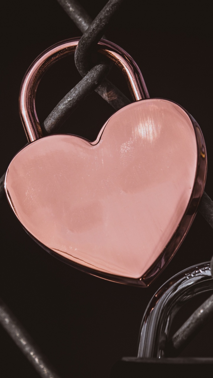 心脏, 粉红色, 爱情, 器官, 人类的身体 壁纸 720x1280 允许