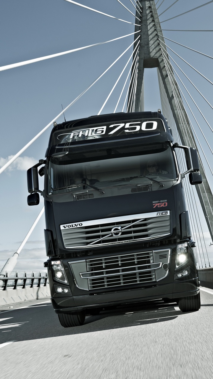 Camion Gué Noir Sur Route Pendant la Journée. Wallpaper in 720x1280 Resolution