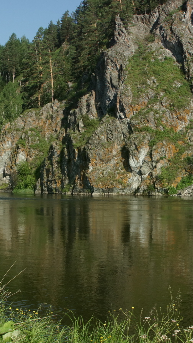 Tagsüber Grünes Gras Und Bäume in Der Nähe Des Sees. Wallpaper in 750x1334 Resolution