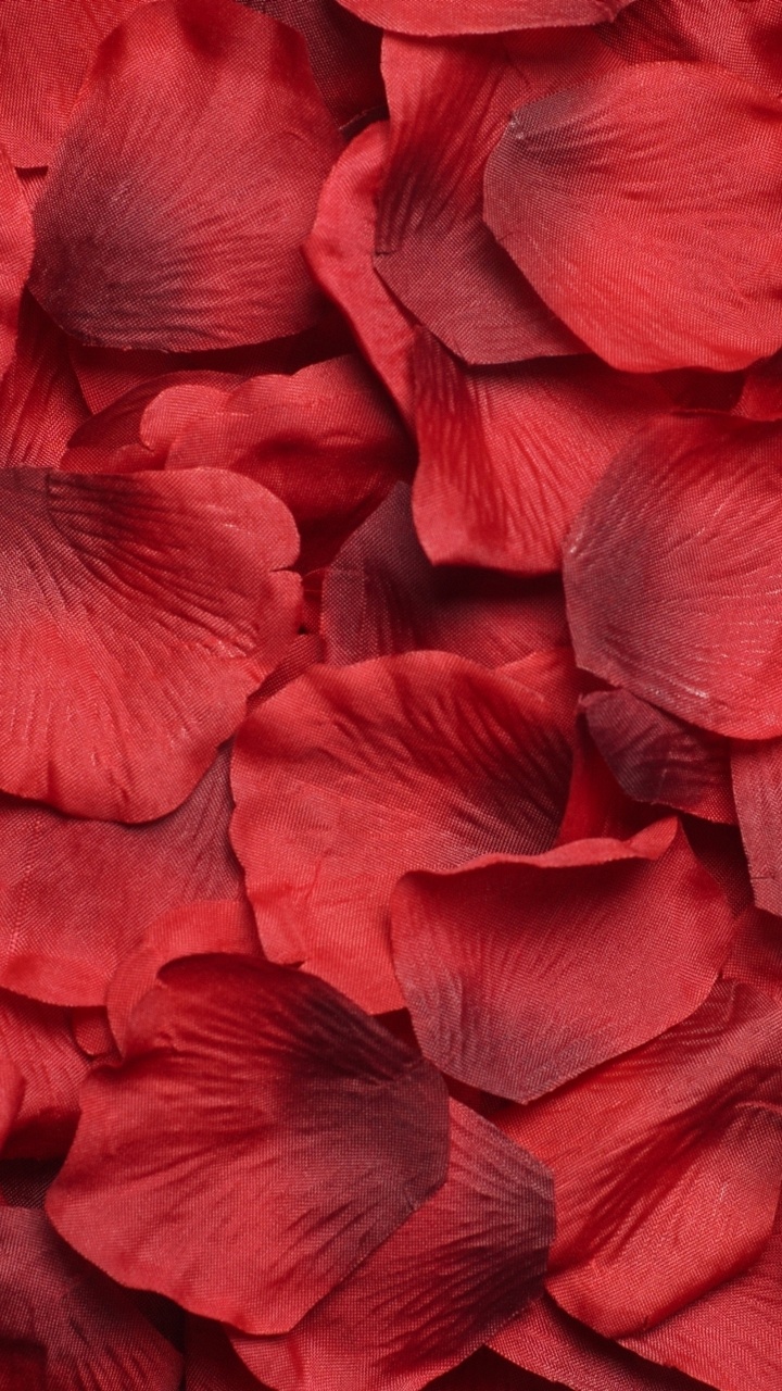 Pétales de Fleurs Rouges et Bleues. Wallpaper in 720x1280 Resolution