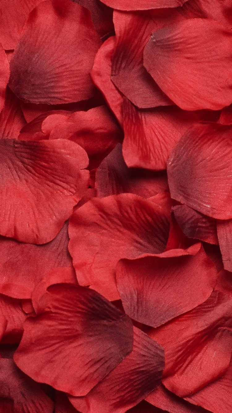 Pétalos de Flores Rojas y Azules. Wallpaper in 750x1334 Resolution