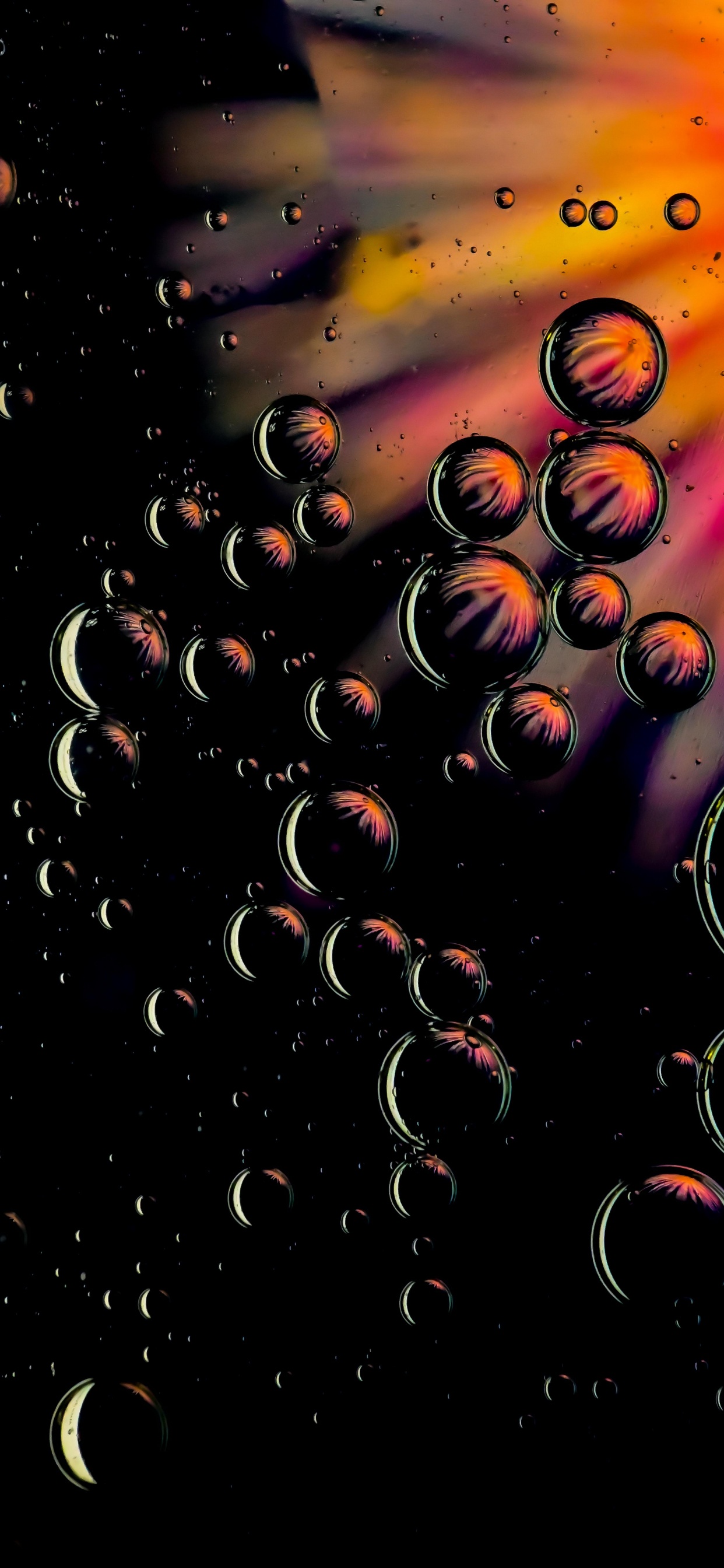 Agua, Arte, Patrón, Circulo. Wallpaper in 1242x2688 Resolution