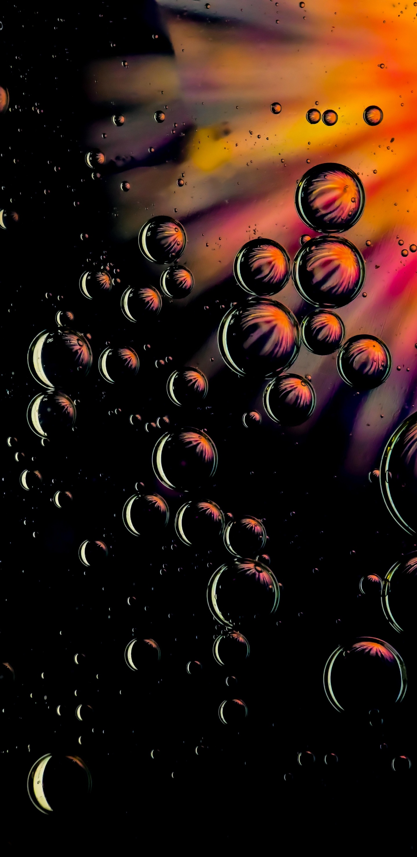 Agua, Arte, Patrón, Circulo. Wallpaper in 1440x2960 Resolution