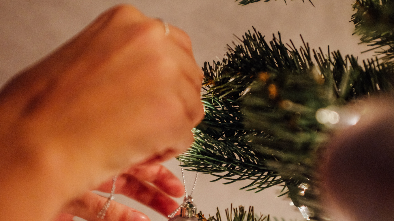 El Día De Navidad, Navidad, Adorno de Navidad, Planta Leñosa, Sucursal. Wallpaper in 1366x768 Resolution