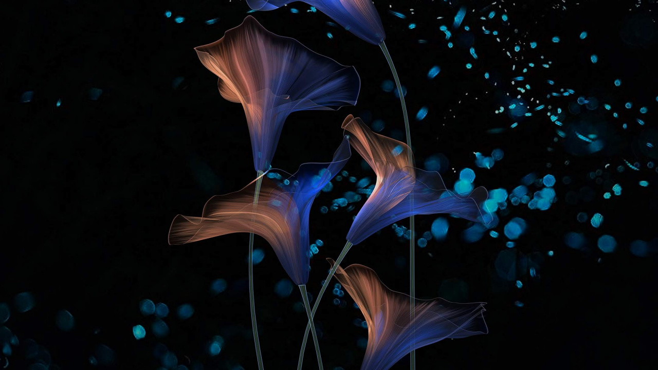 Honor Magic 2 壁纸 1280x720 允许