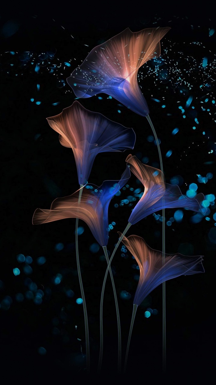 Huawei, Honor Magic 2, Bunt Schön Magisch, Huawei Ehre, Alismatales. Wallpaper in 720x1280 Resolution