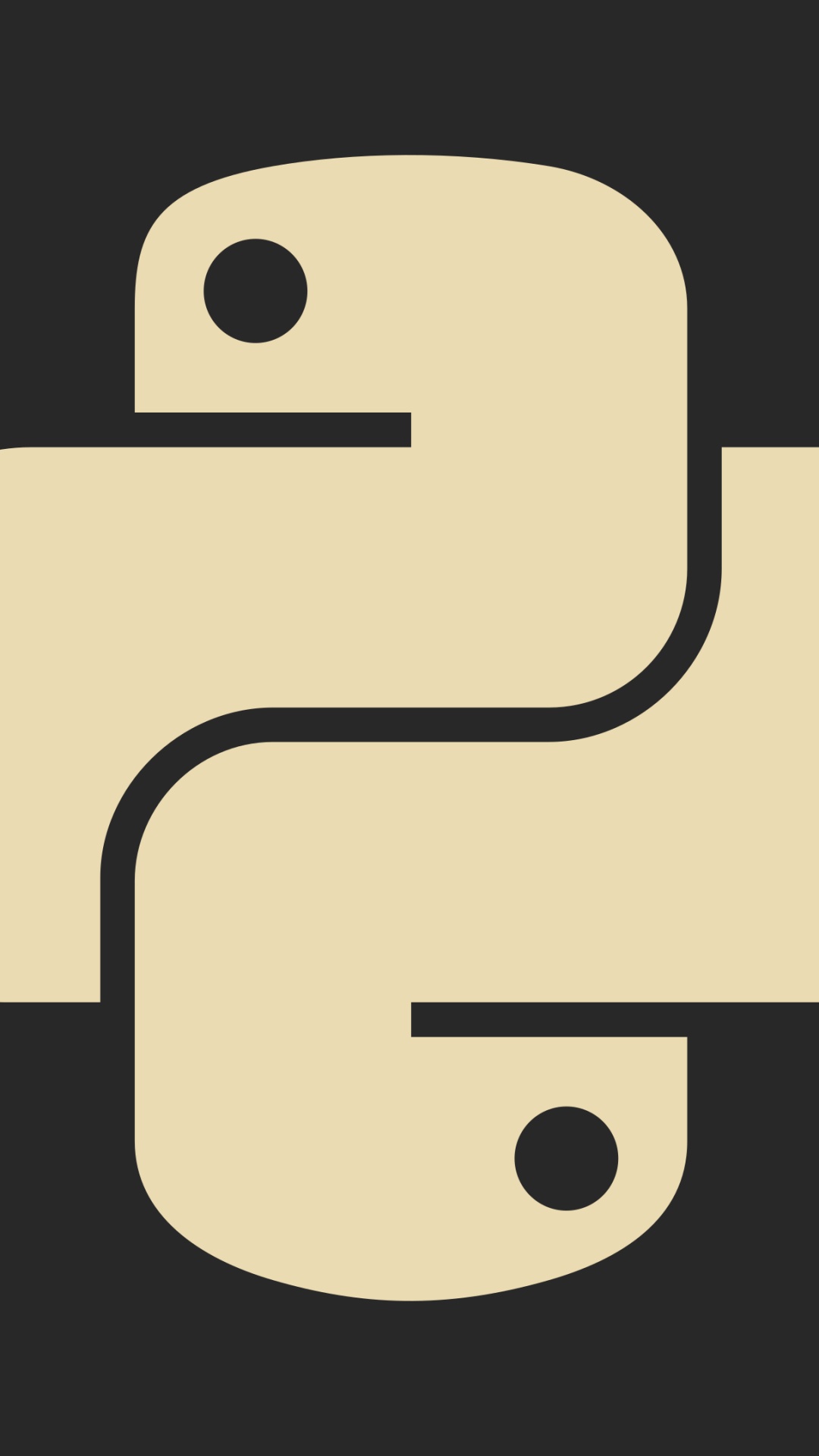 Python Programer, Python, Programming Language, Standing, Integrated Development Environment. Wallpaper in 1080x1920 Resolution