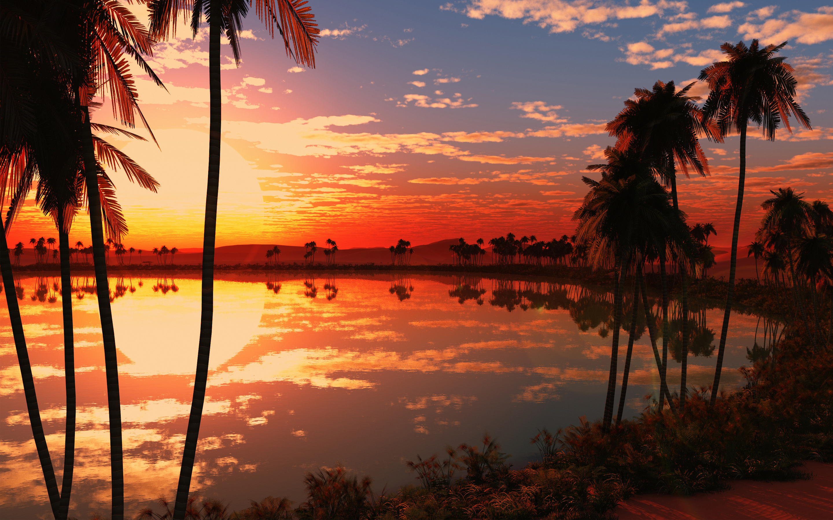 palm trees wallpaper desktop