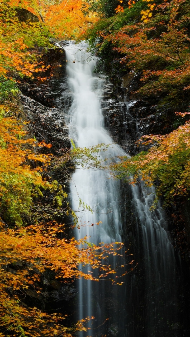 Waterfalls in Forest During Daytime. Wallpaper in 720x1280 Resolution
